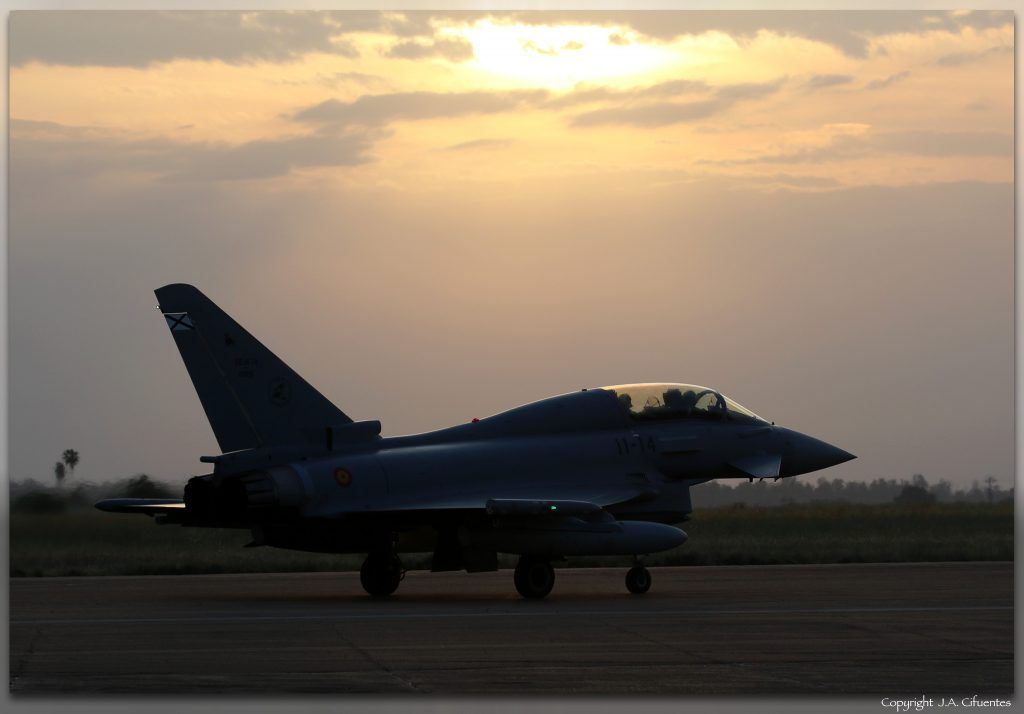 EF-2000 Eurofighter Typhoon, Ala 11 del Ejército del Aire y del Espacio.